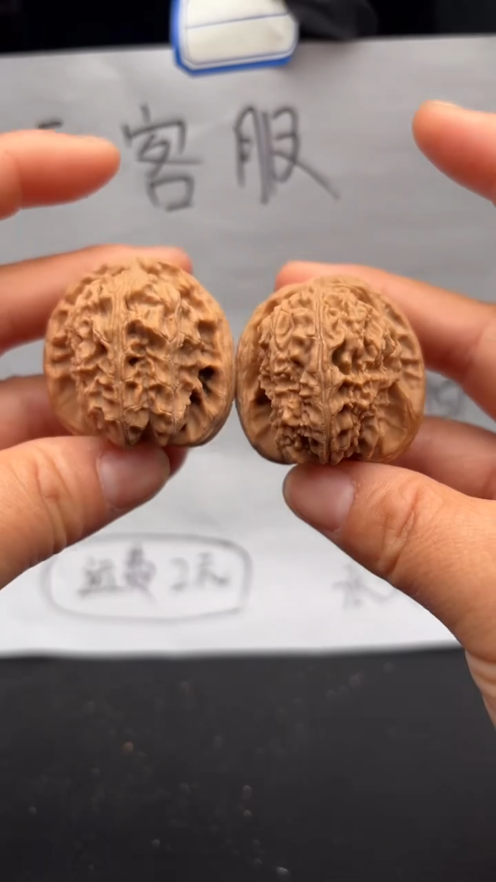 把件文玩核桃486白狮子