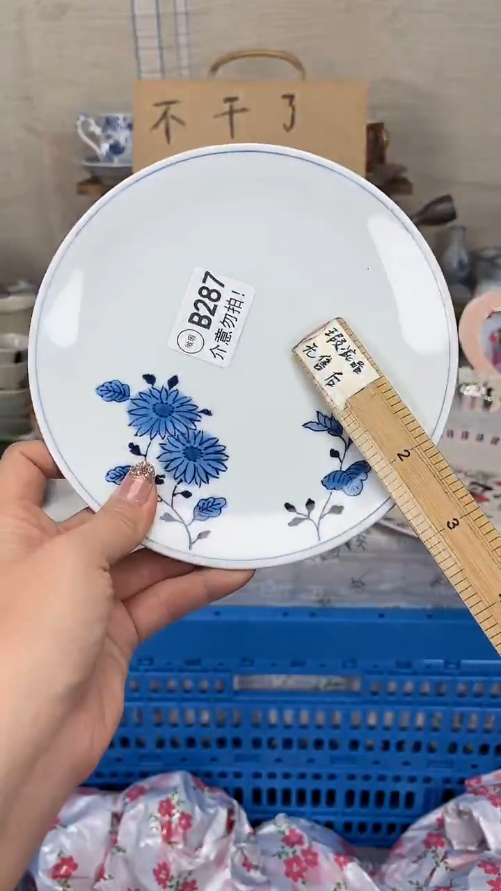 瓷片梓*    瓷片    B287