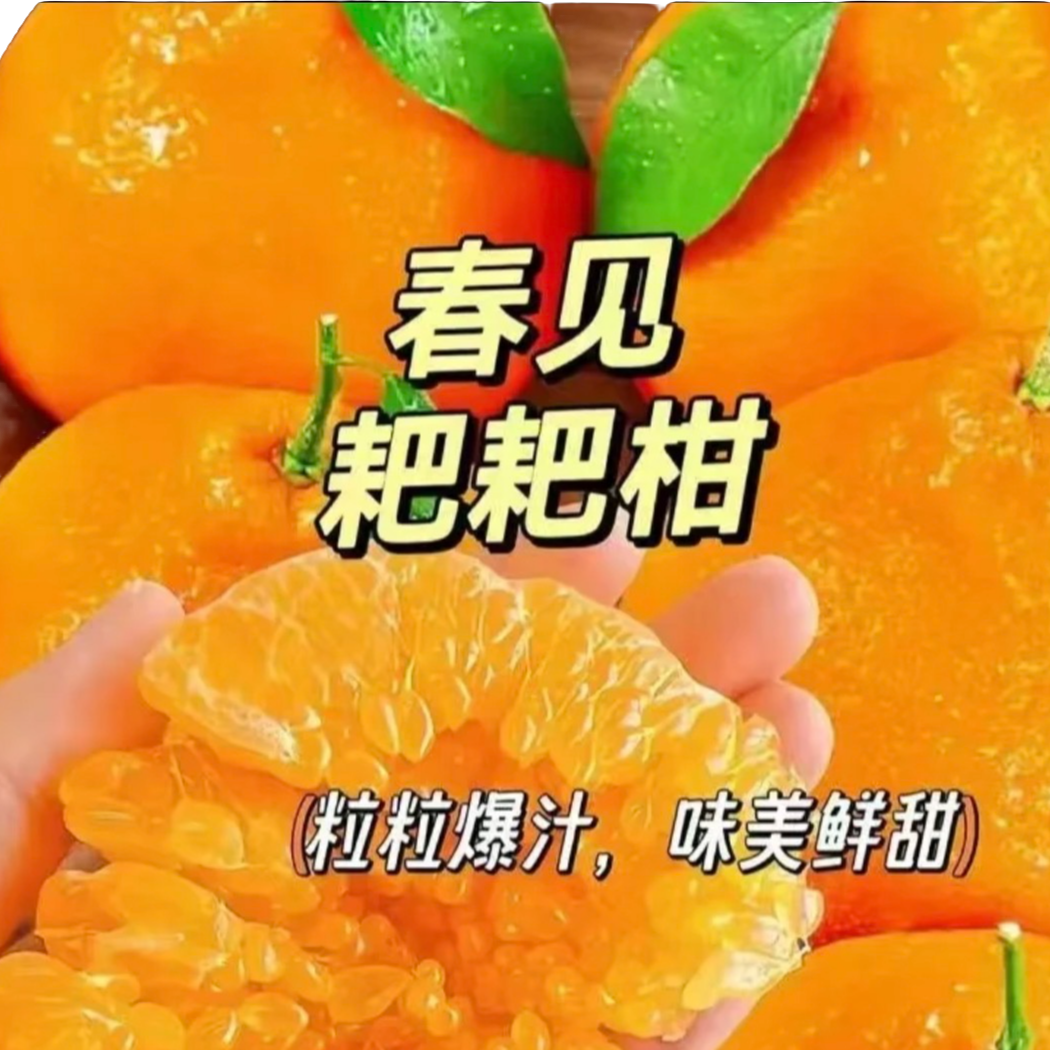 【次日达】四川春见耙耙柑4斤净重 爆汁不干 鲜果（京东包邮）2
