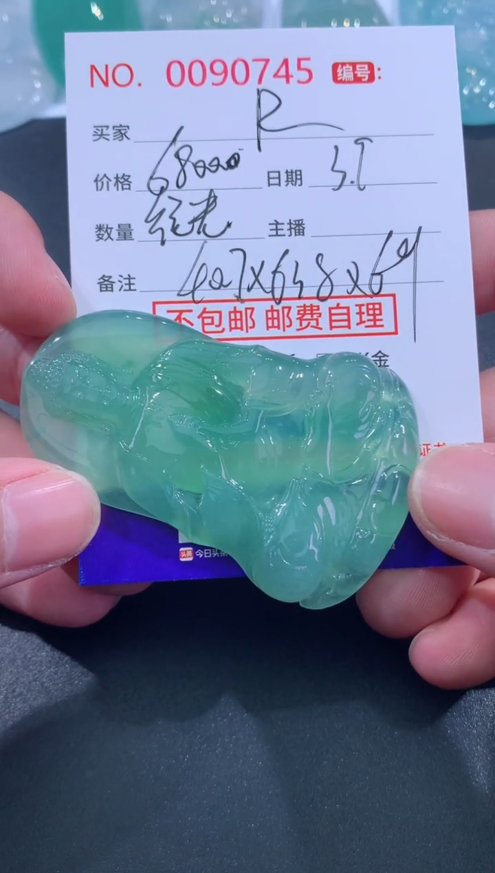 【闪购商品】翡翠颈饰未镶嵌定向 R