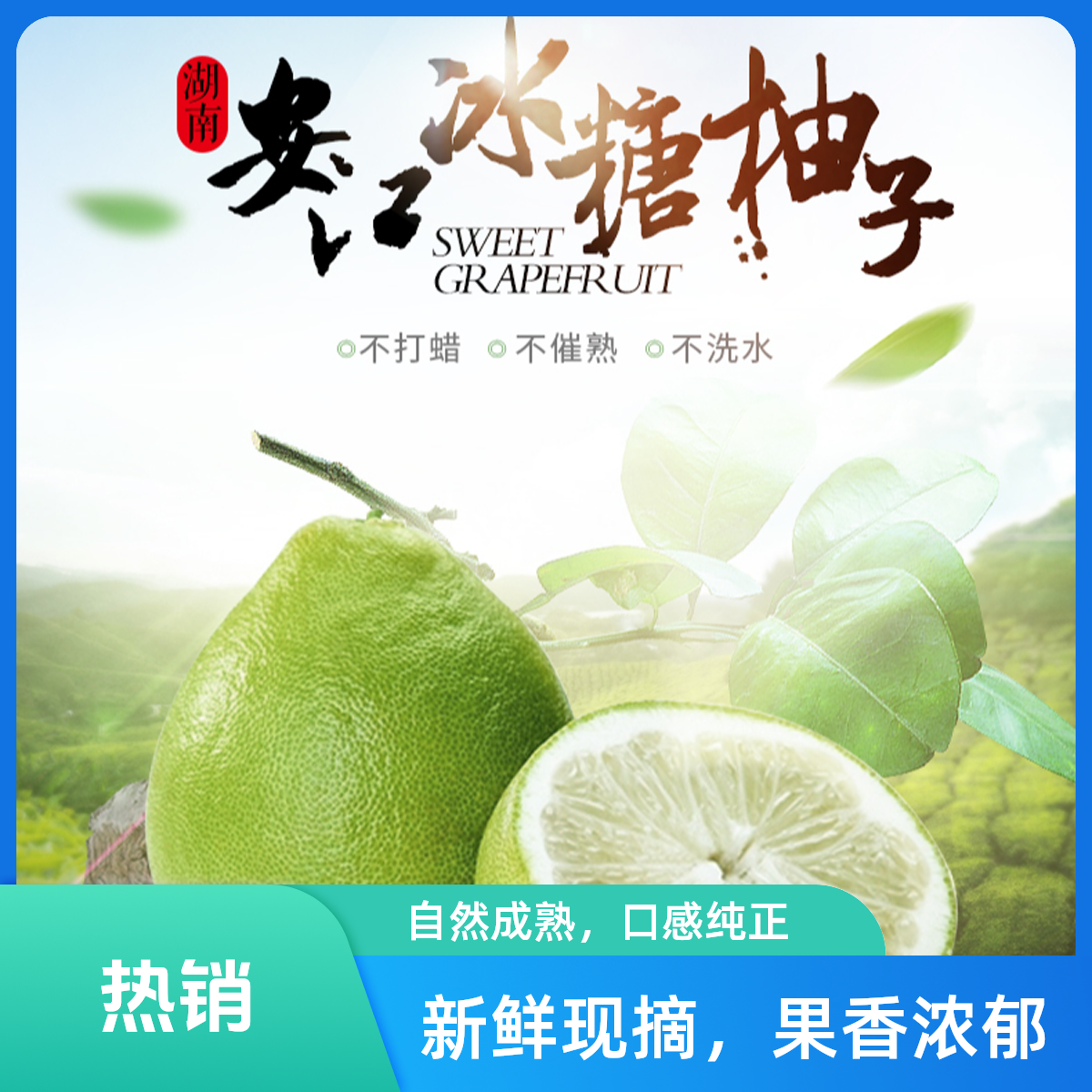 【送货上门】怀化安江冰糖柚小苦柚入口脆甜回味微苦5斤/10斤