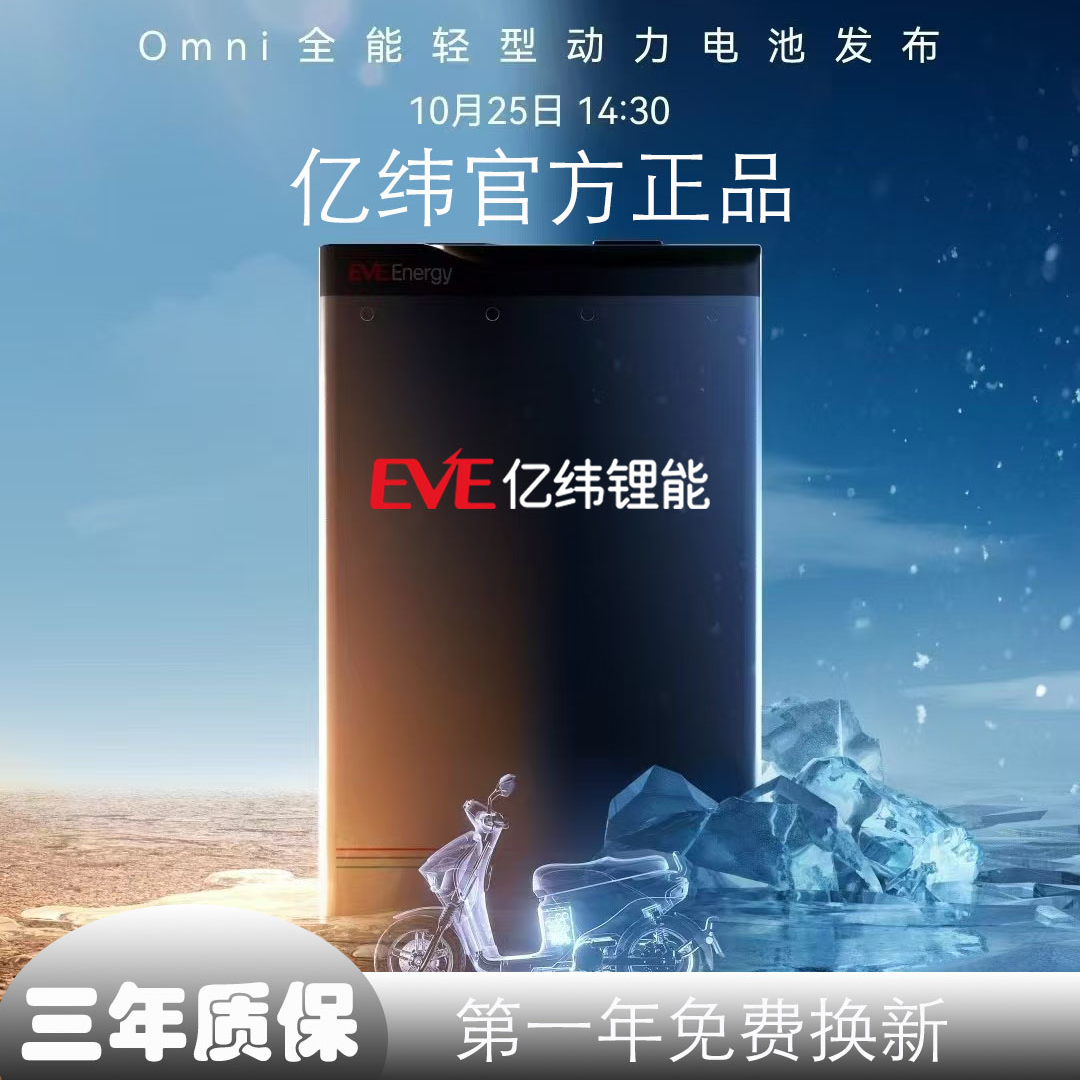 48V20A亿纬锂能全新A磷酸铁锂电动车锂电池全新A品锂电池