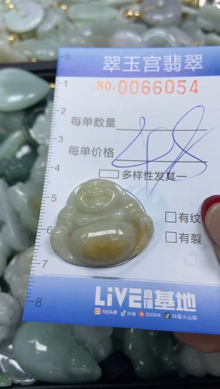 【闪购商品】翡翠颈饰未镶嵌闪购0066054