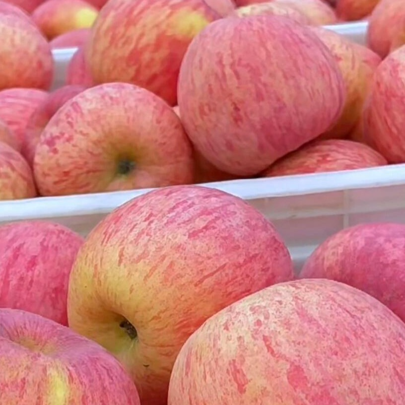 正宗新鲜水果脆甜平安夜新疆阿克苏新疆红肉平安夜冬桃红富士