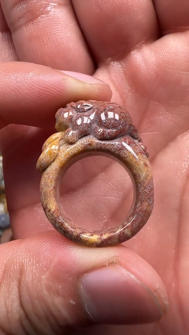 【闪购商品】硅化珊瑚（珊瑚玉）颈饰未镶嵌708