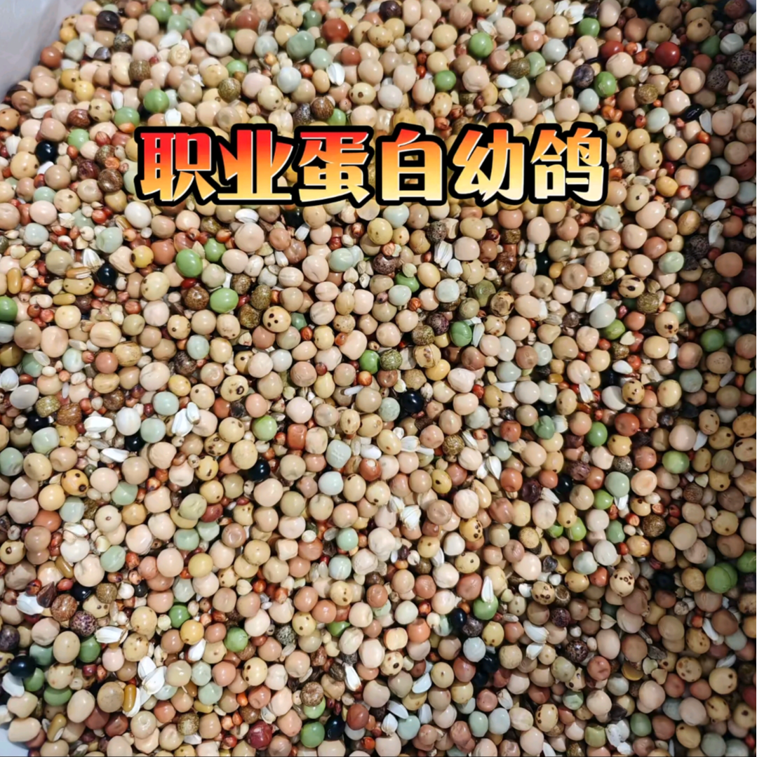 宏冠鸽粮  职业蛋白幼鸽50斤包邮装幼鸽信鸽赛鸽种鸽观赏鸽鸽粮