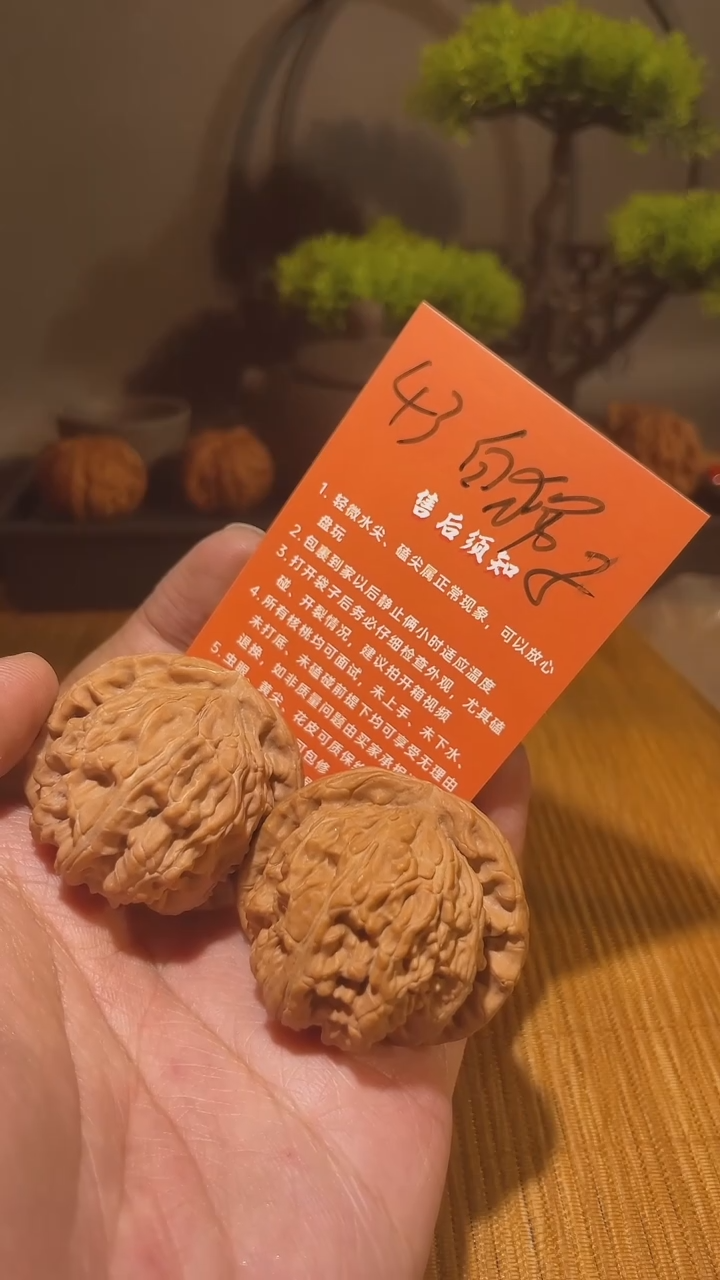 把件文玩核桃43白狮子