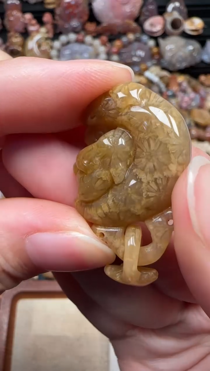 颈饰未镶嵌硅化珊瑚（珊瑚玉）682