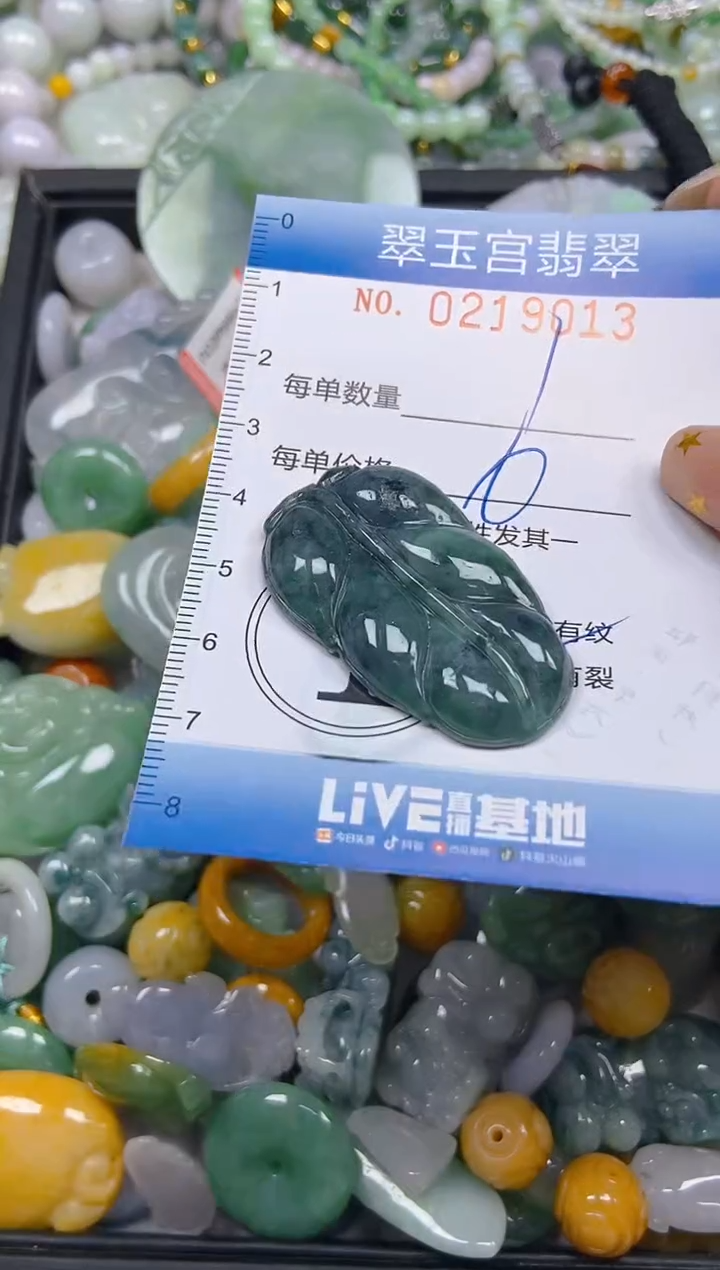 颈饰未镶嵌翡翠闪购C0219013