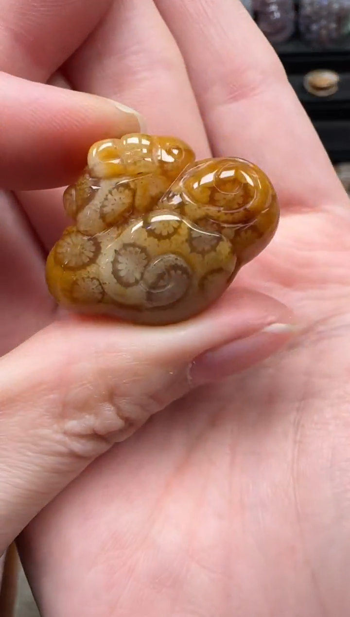 颈饰未镶嵌硅化珊瑚（珊瑚玉）152