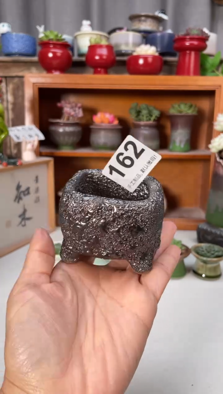 瓷片162小芳花盆直播编号