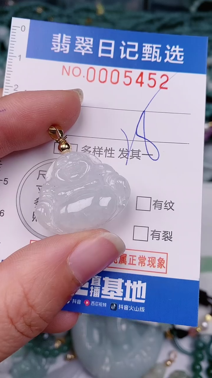 【闪购商品】翡翠颈饰未镶嵌00005452