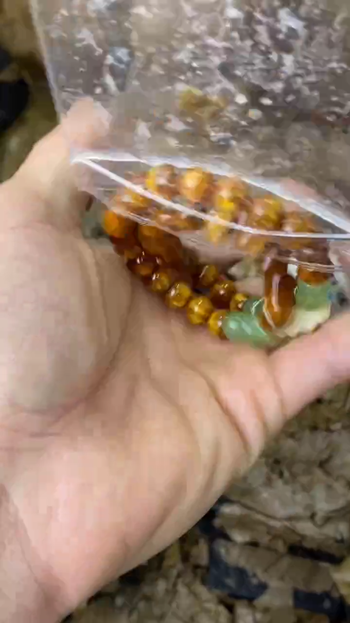 手串海棠瓷器（无礼盒）@@@SP