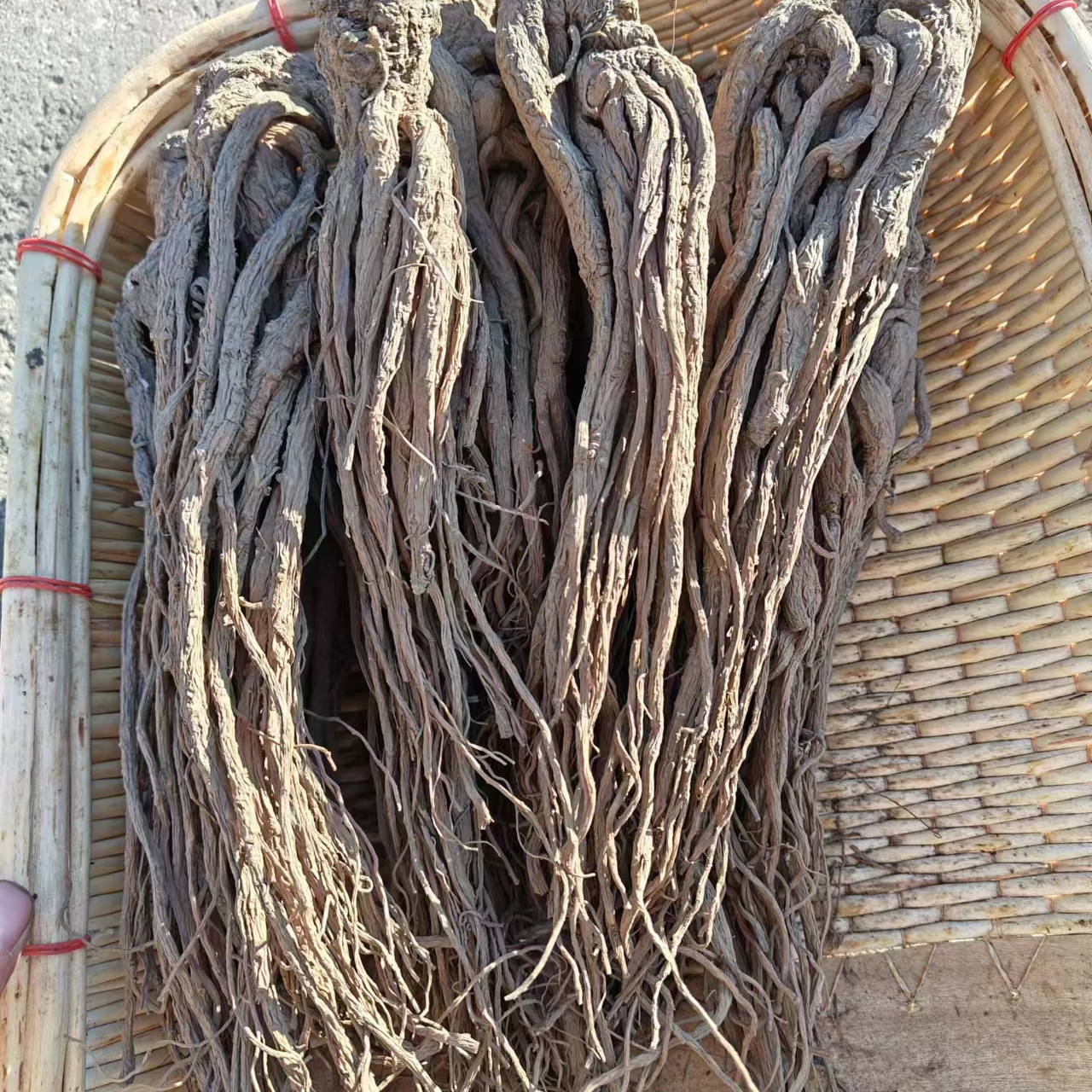 甘肃岷县新货整条当归可泡水炖汤（随机赠送一根党参）