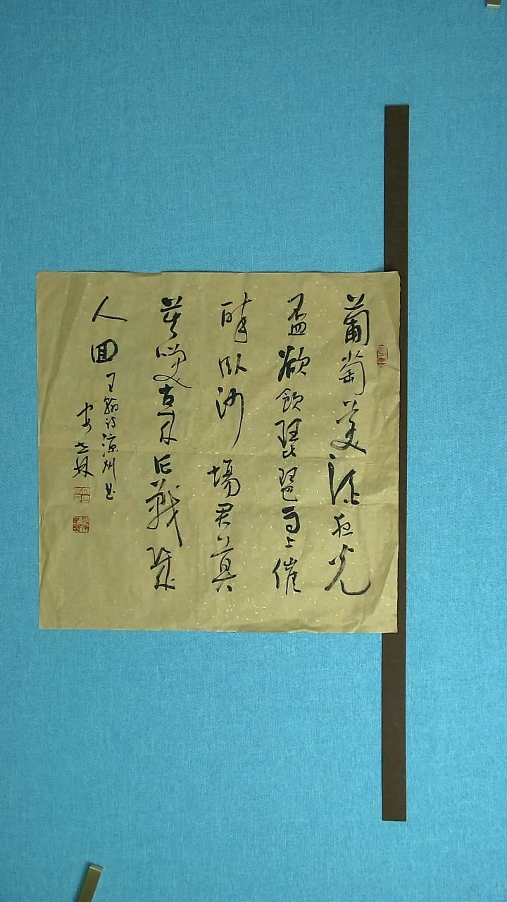 【闪购商品】书法143 甘肃安石林中书协54*54