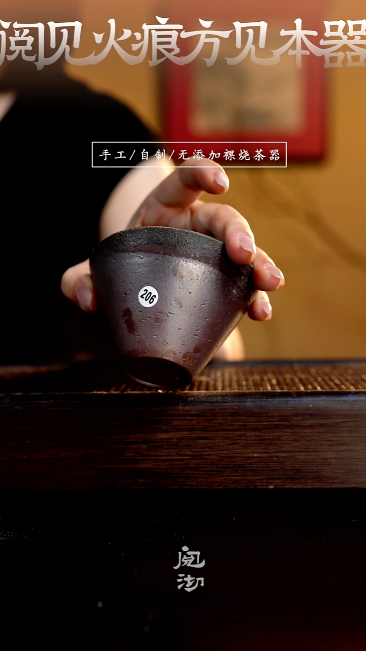206杯            