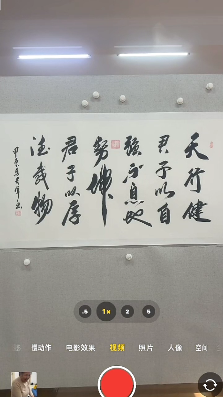 【闪购商品】书法-绘画-马贵军-8平尺书法