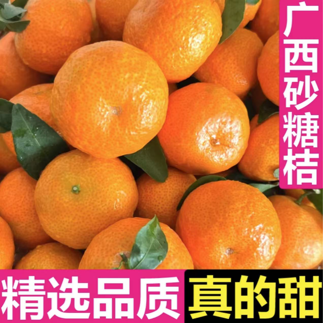 【年货节补贴】正宗广西沙糖橘清甜多汁当季新鲜水果   中果（35-40mm）优质精选产地直采 05