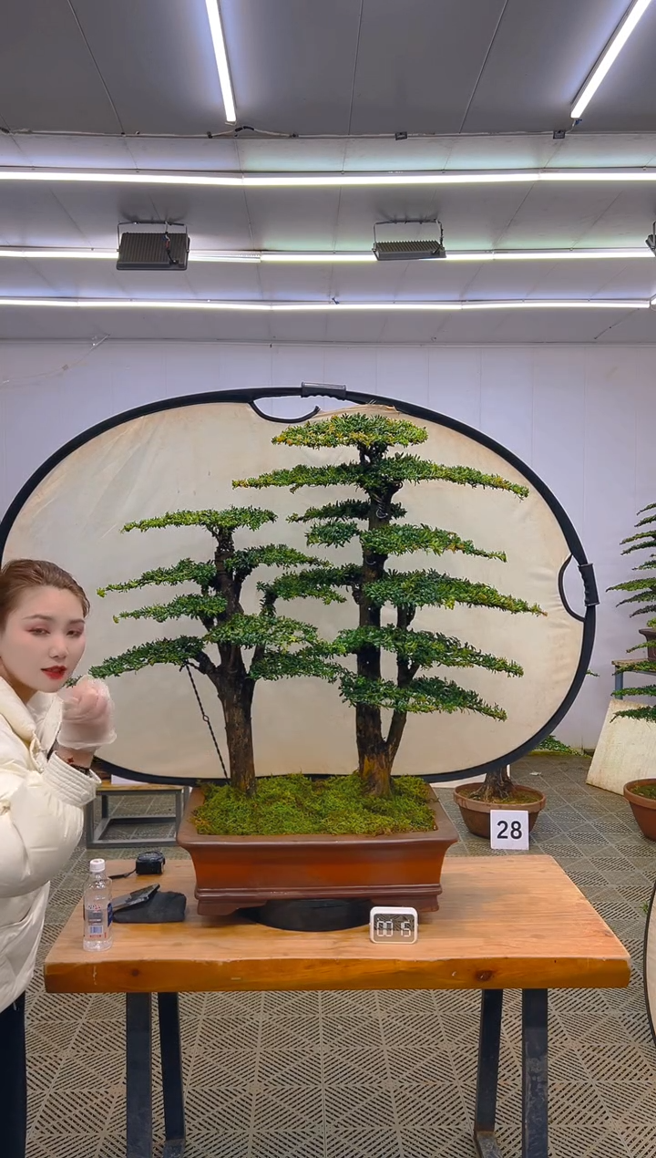 无花朵一物一拍一物一拍