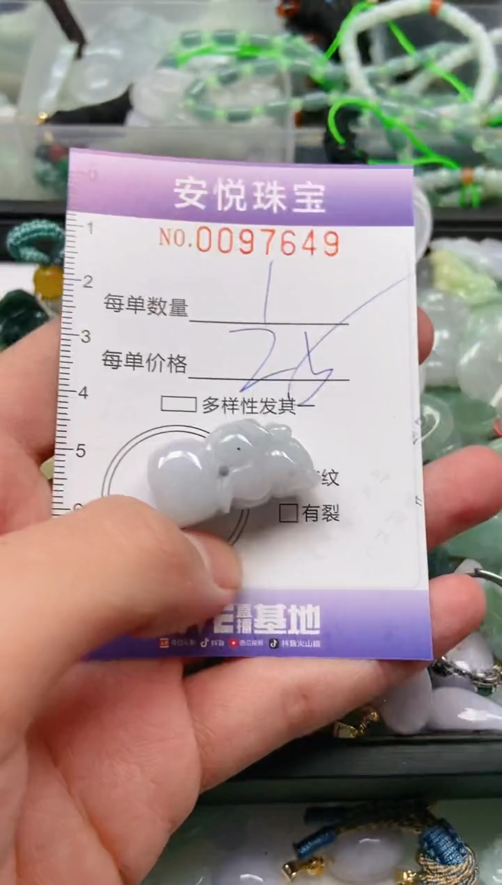 【闪购商品】翡翠颈饰未镶嵌闪购0097649