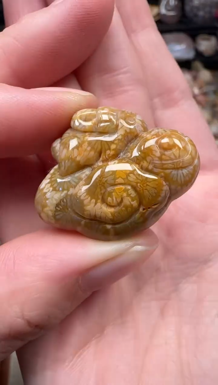 颈饰未镶嵌硅化珊瑚（珊瑚玉）205