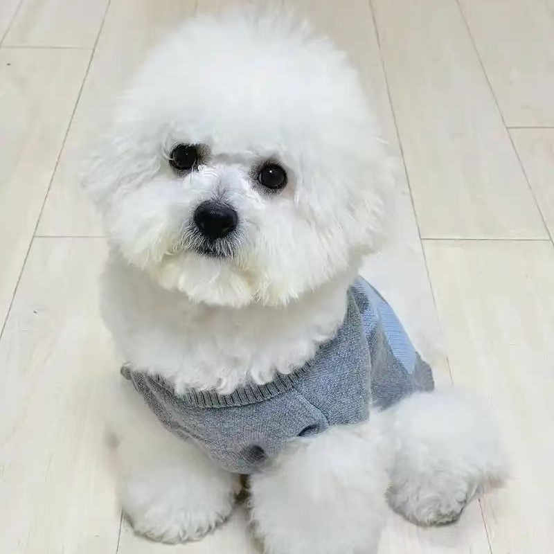 【直播过款】宠物服饰外贸尾单（NO退NO换）+无运费险