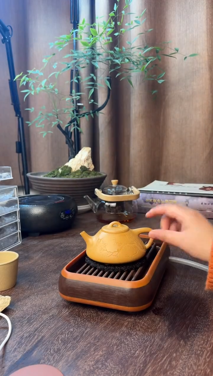 茶壶紫砂“王彪”-彭年石瓢-全手精工制作-矿标级老宕口黄金段
