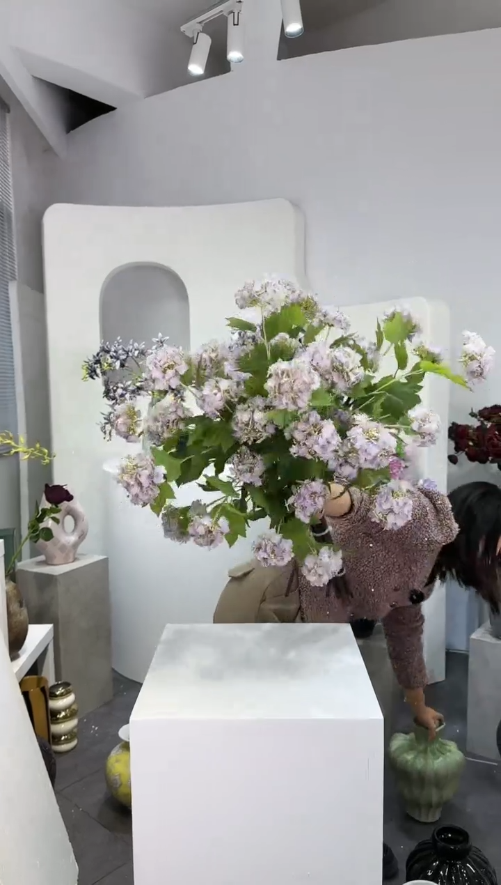 【闪购商品】藤10支香芋紫四头绣球