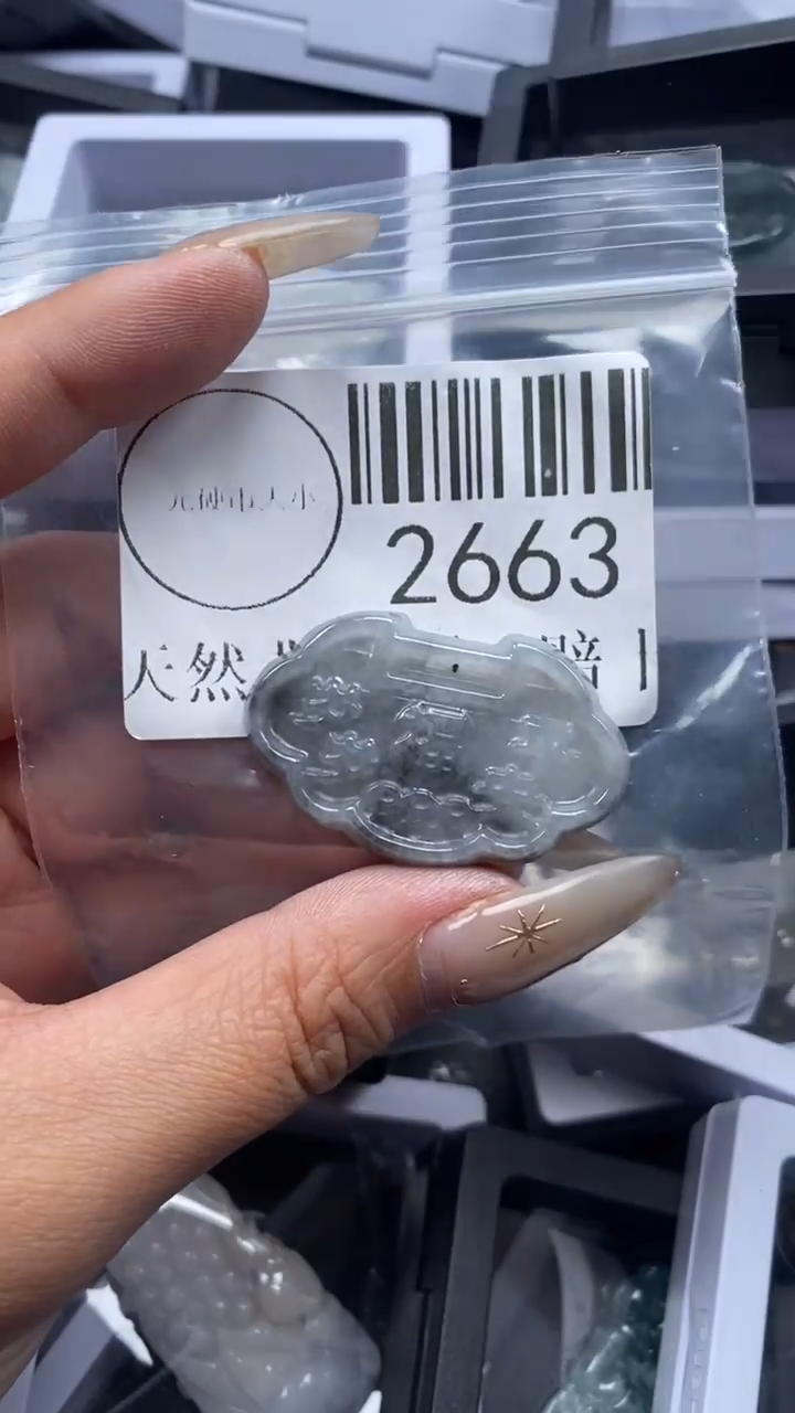 颈饰未镶嵌翡翠2663