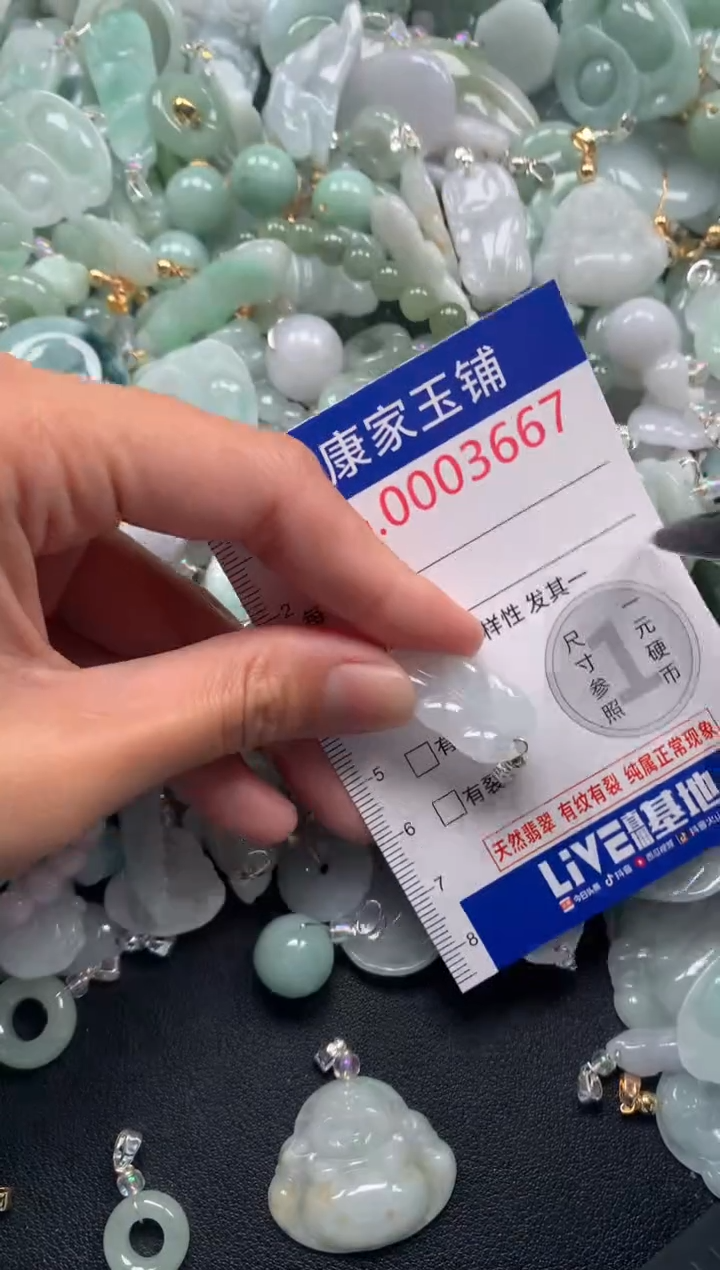 颈饰未镶嵌翡翠3667