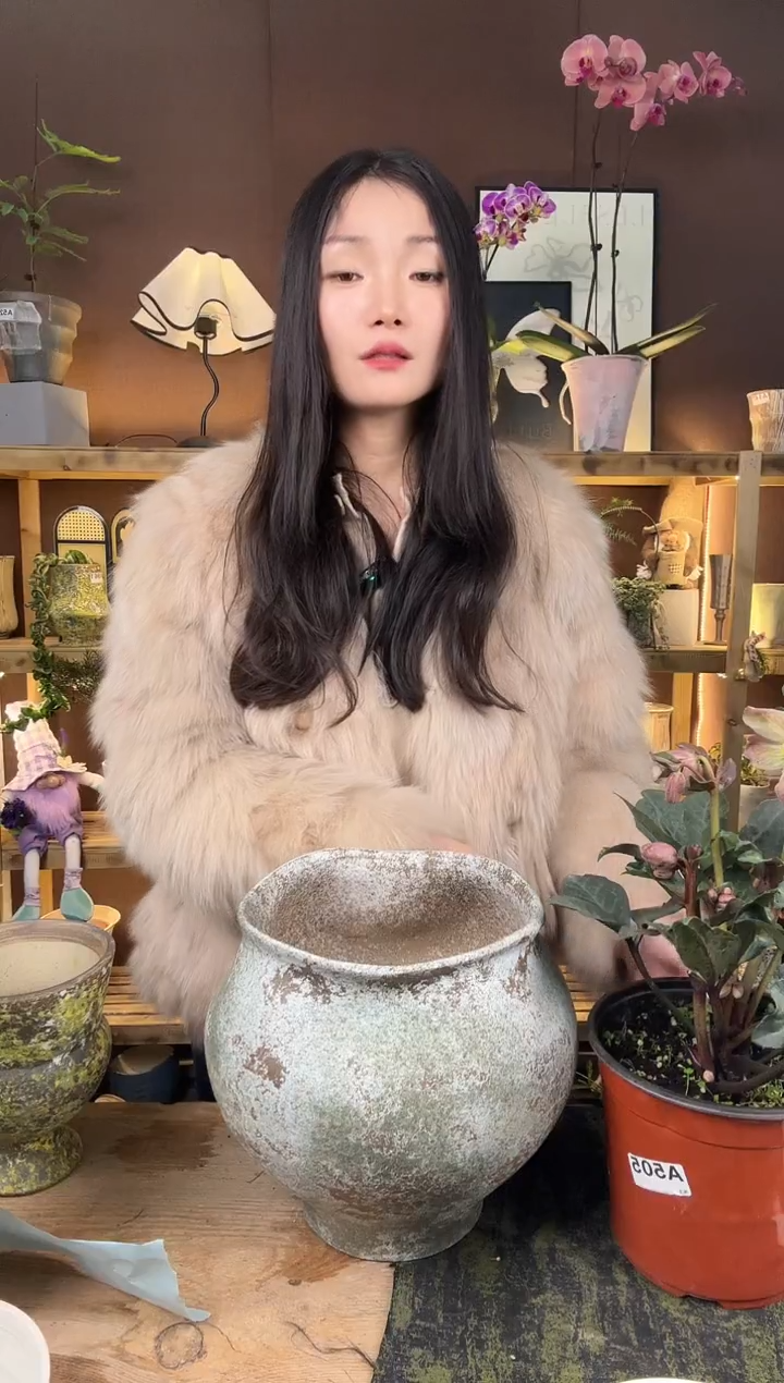 以实际为准梅****子编号466   景德镇手工手绘花盆口20  