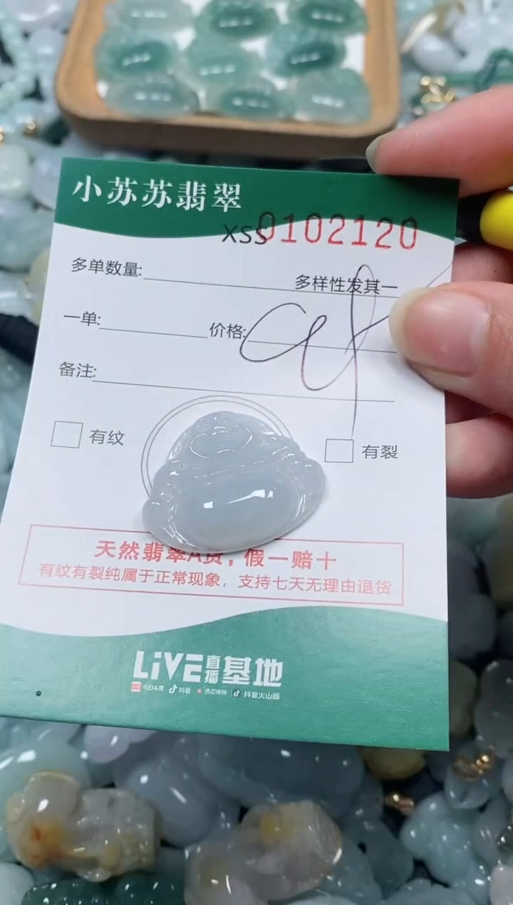 【闪购商品】翡翠颈饰未镶嵌闪购商品0102120