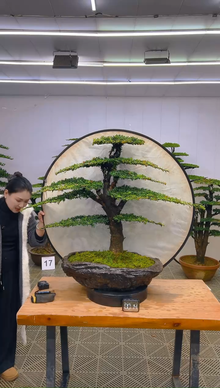 无花朵一物一拍一物一拍