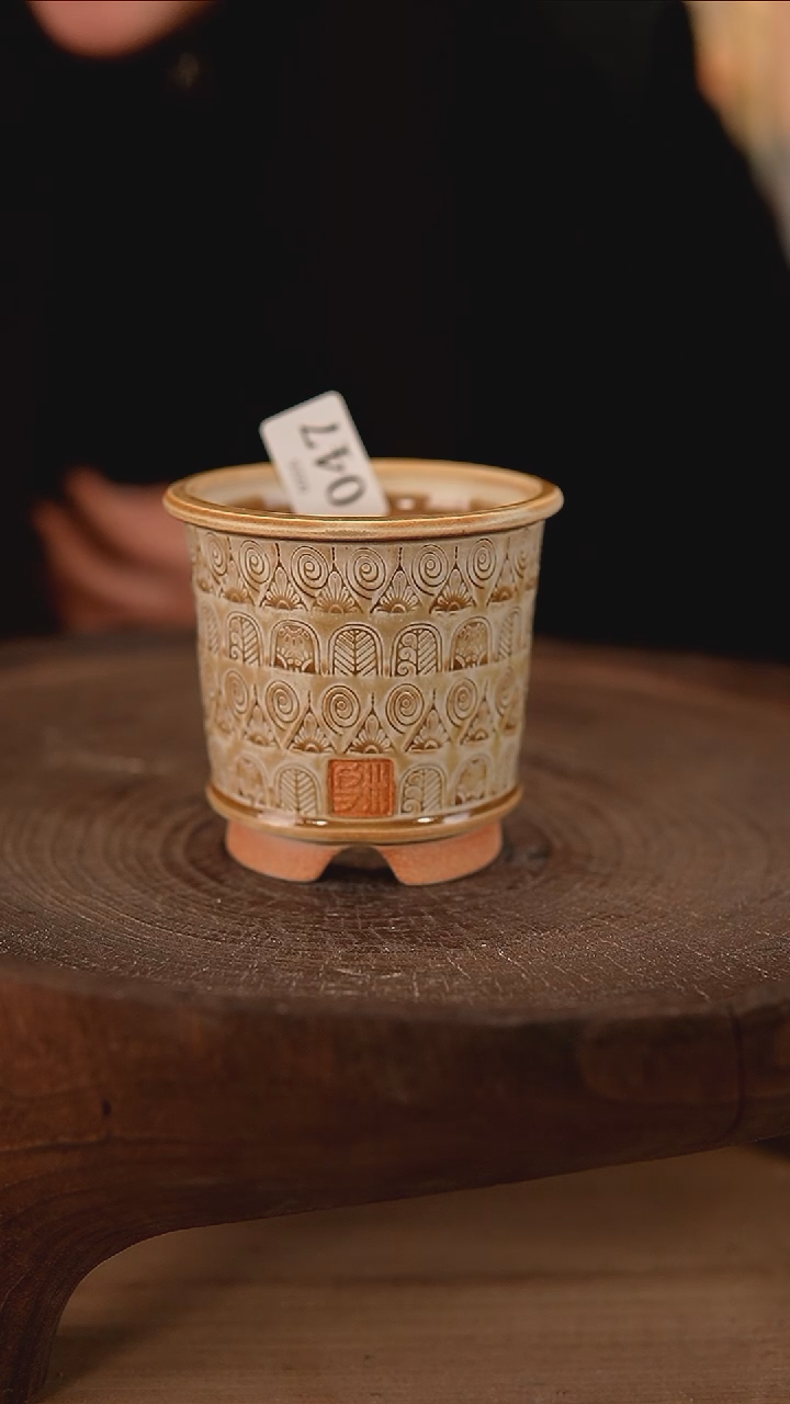 【闪购商品】陶瓷2-25-047默认有瑕口5.5