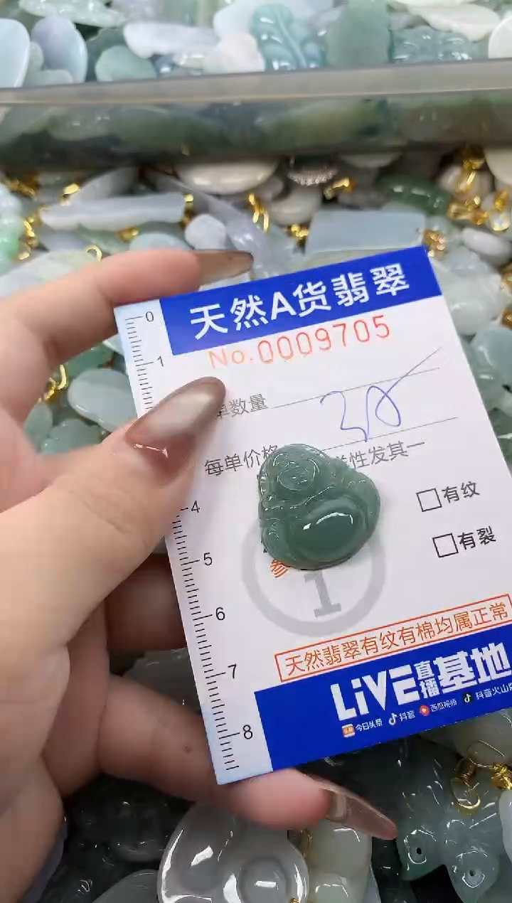 翡翠未镶嵌颈饰天然A货翡翠