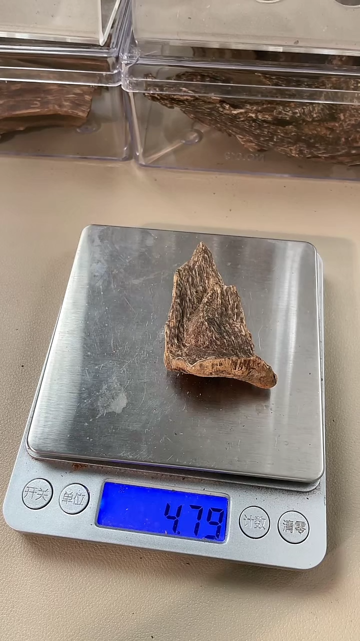 【闪购商品】沉香沉香碎屑李胖胖芽庄