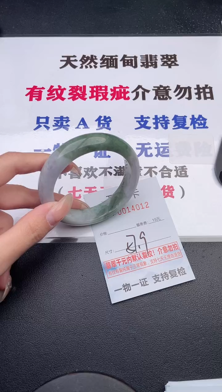 未镶嵌手镯翡翠12