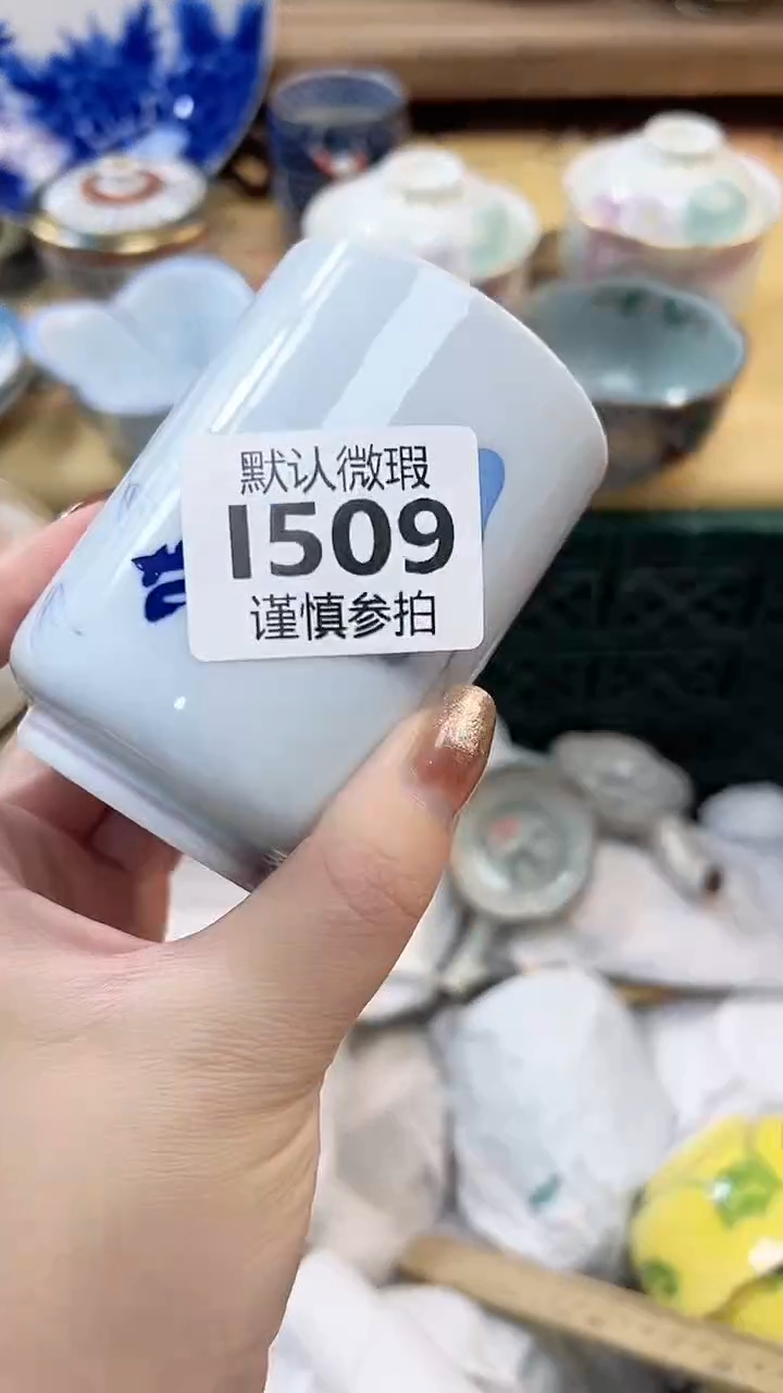 瓷片毅 509          