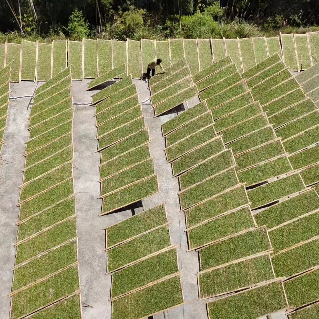 大师颂2018年贡眉 福鼎白茶核心产区
