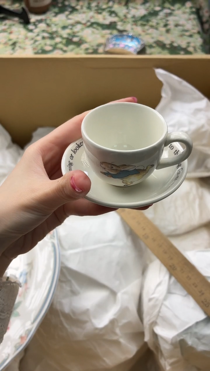 瓷片天*鸟       B699