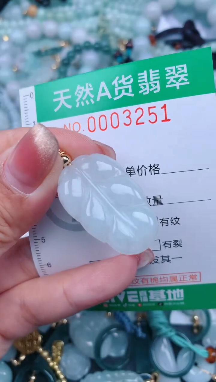 【闪购商品】翡翠颈饰未镶嵌.0003251