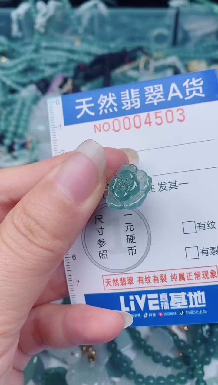 颈饰未镶嵌翡翠00004503