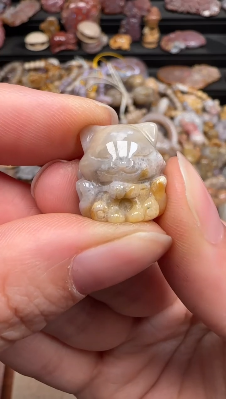 硅化珊瑚（珊瑚玉）未镶嵌颈饰326