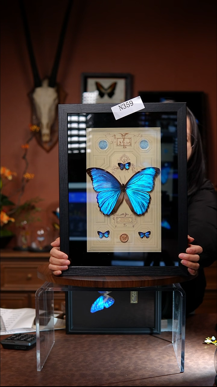 N359   大蓝闪多只蝴蝶组合