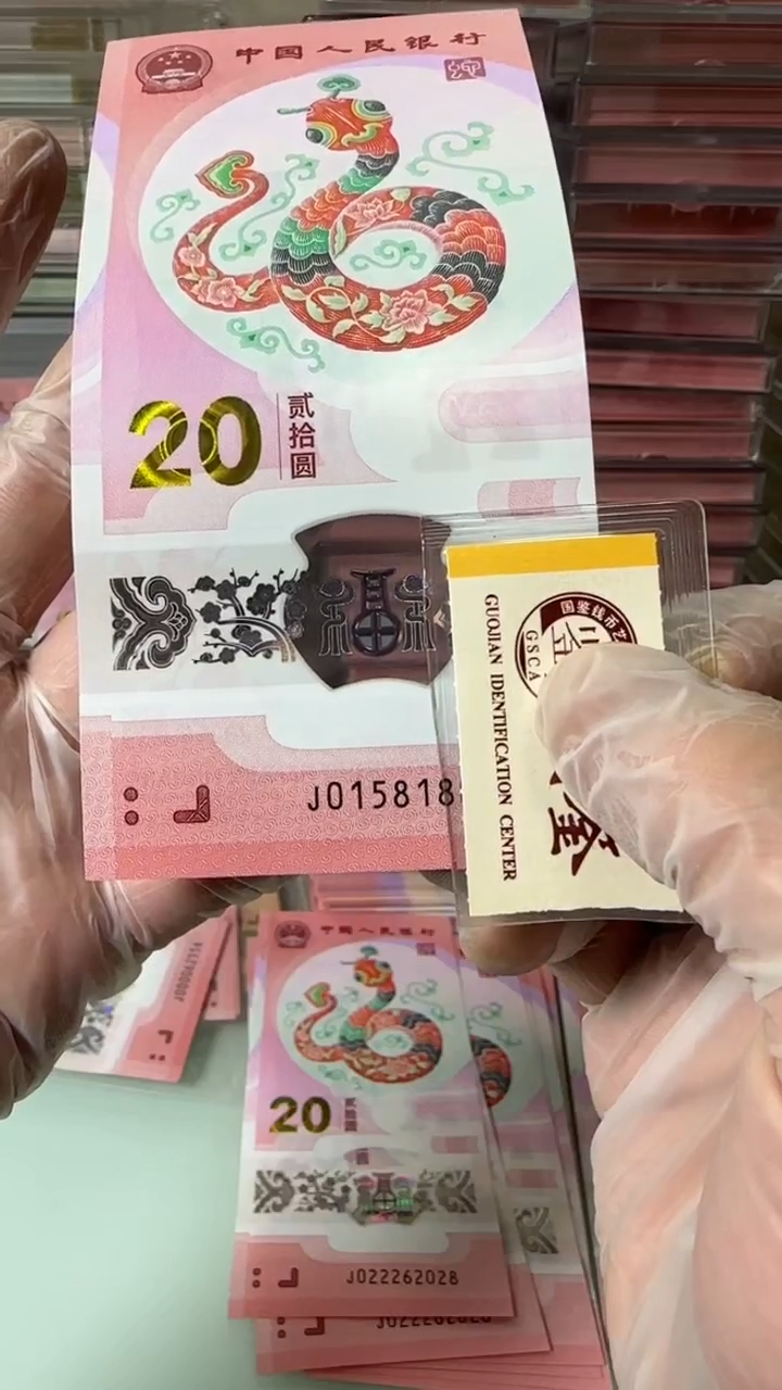 【闪购商品】塑料015818080-蛇钞单张