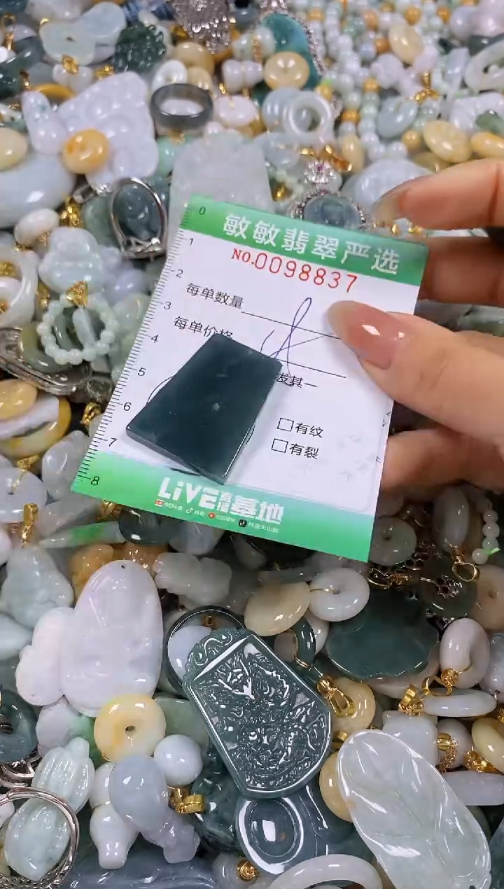 【闪购商品】翡翠颈饰未镶嵌闪购0098837