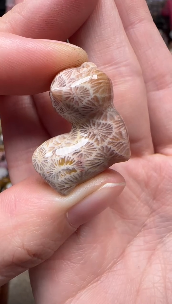 颈饰未镶嵌硅化珊瑚（珊瑚玉）730