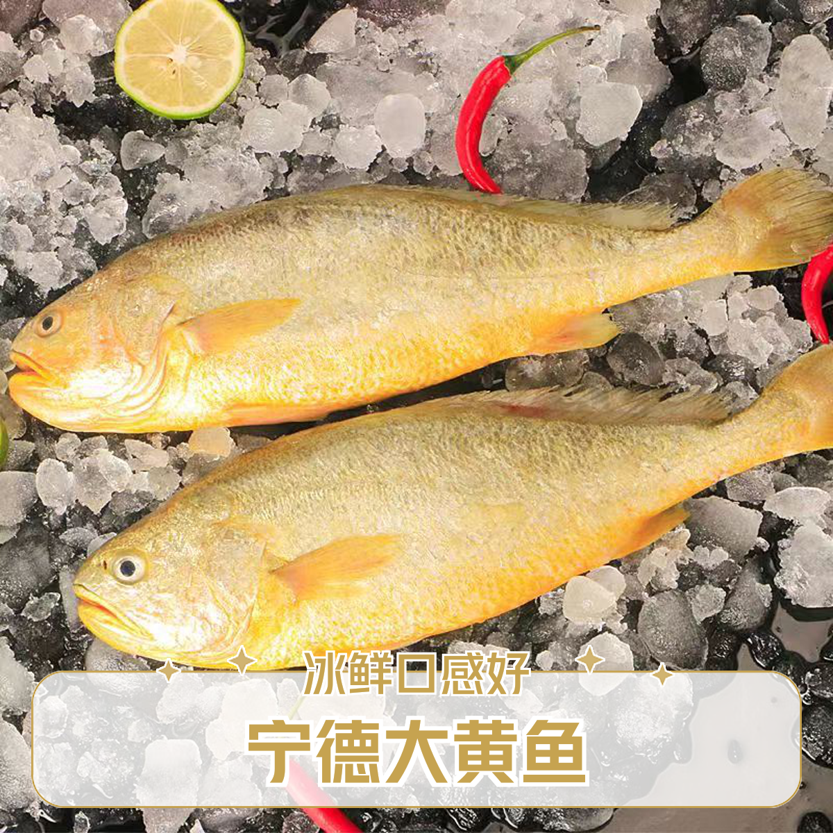 宁德/冰鲜大黄鱼
