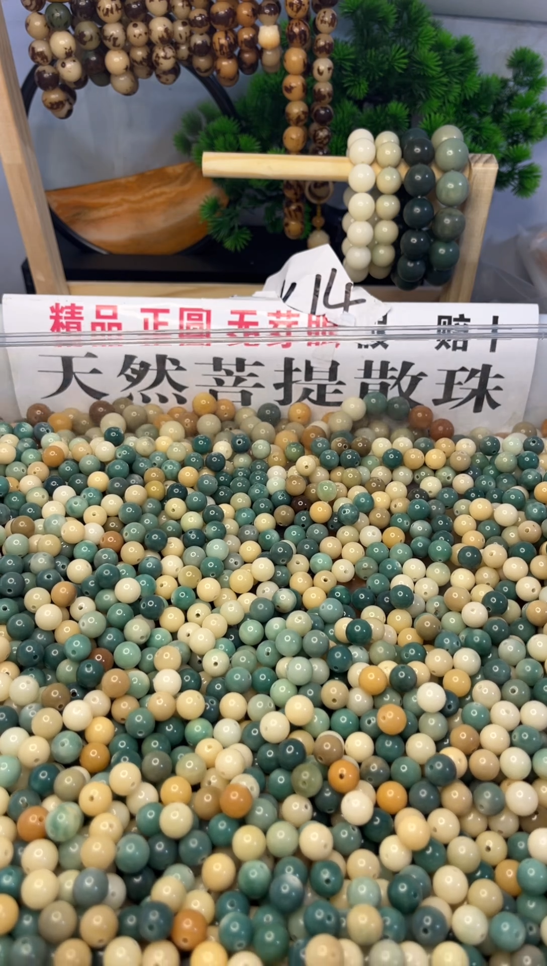 手串菩提根/象牙果1颗珠子