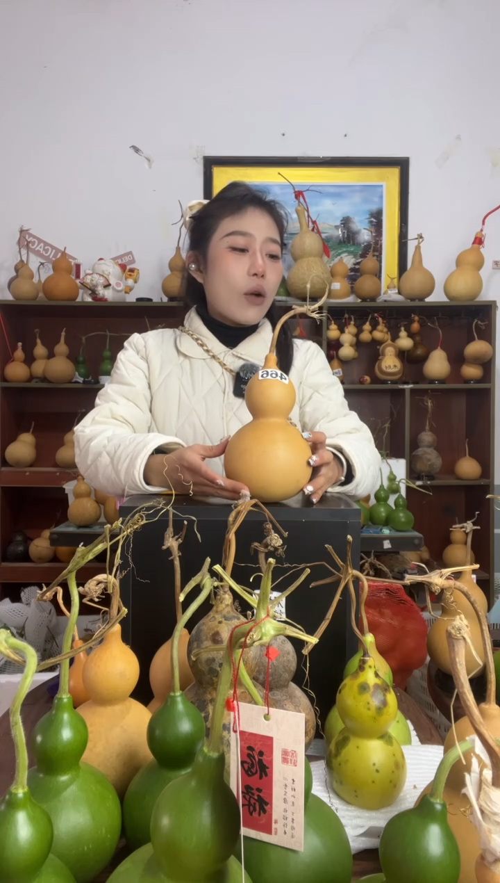 466天然葫芦摆件 一物一拍龙头不保售后